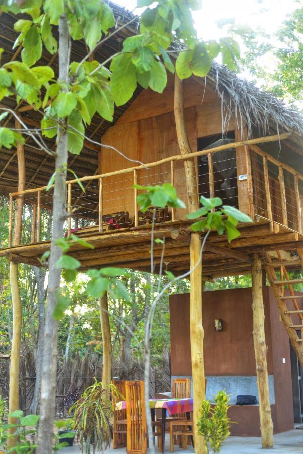 시기리야 Pidurangala View Treehouse 아파트 외부 사진