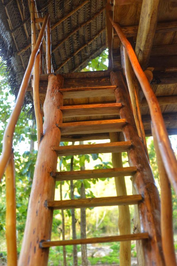 시기리야 Pidurangala View Treehouse 아파트 외부 사진