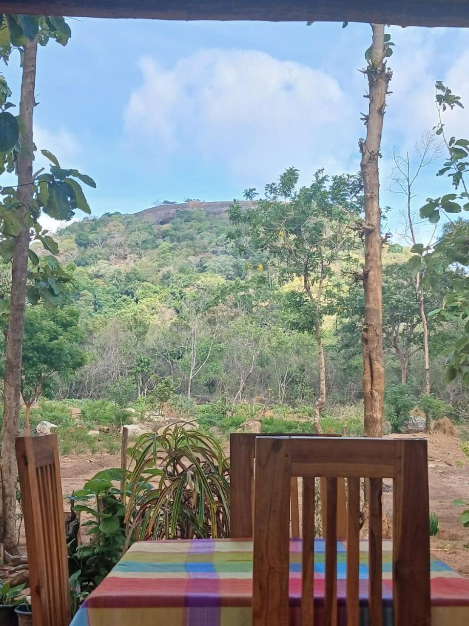 시기리야 Pidurangala View Treehouse 아파트 외부 사진