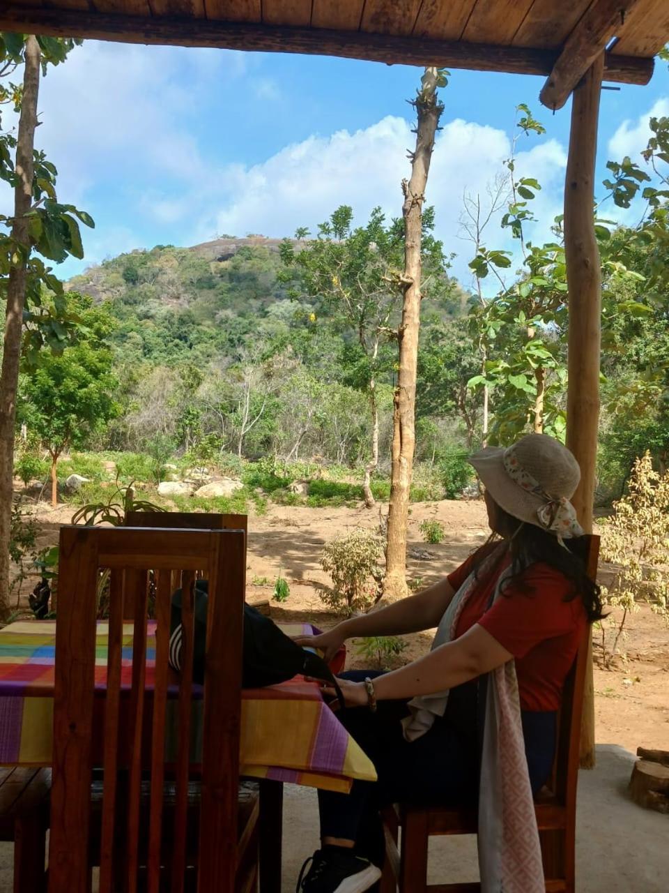 시기리야 Pidurangala View Treehouse 아파트 외부 사진