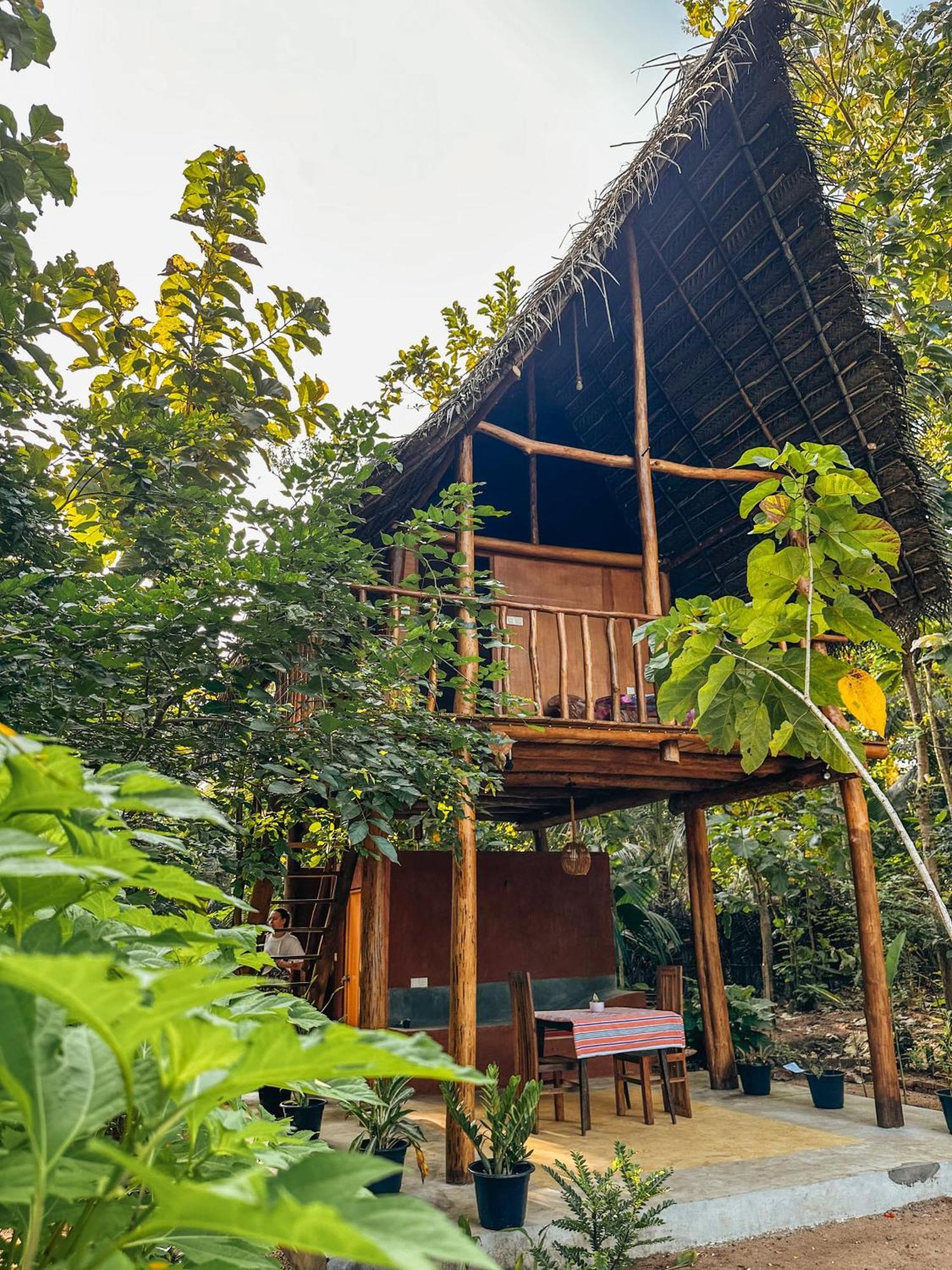 시기리야 Pidurangala View Treehouse 아파트 외부 사진