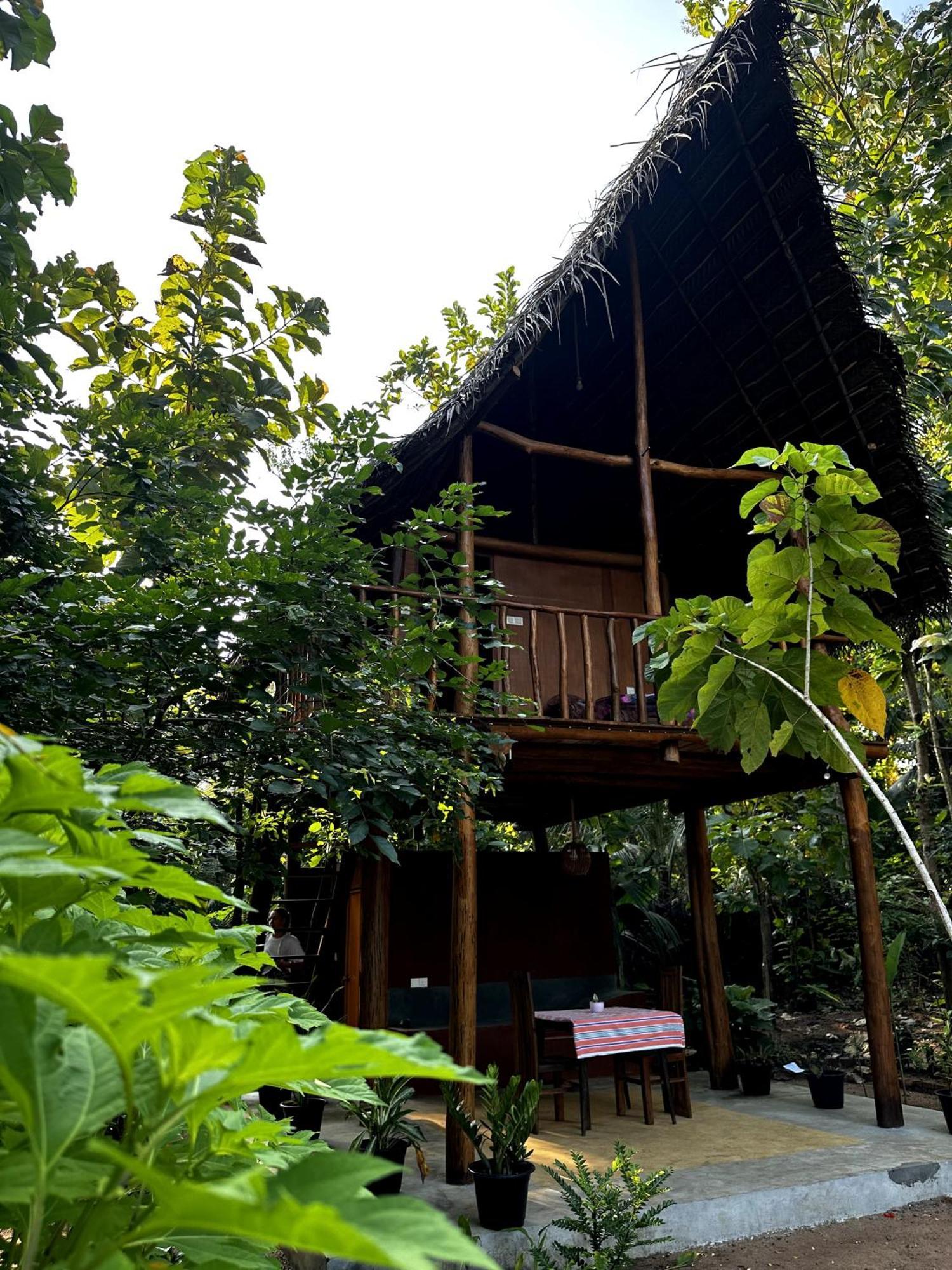 시기리야 Pidurangala View Treehouse 아파트 외부 사진