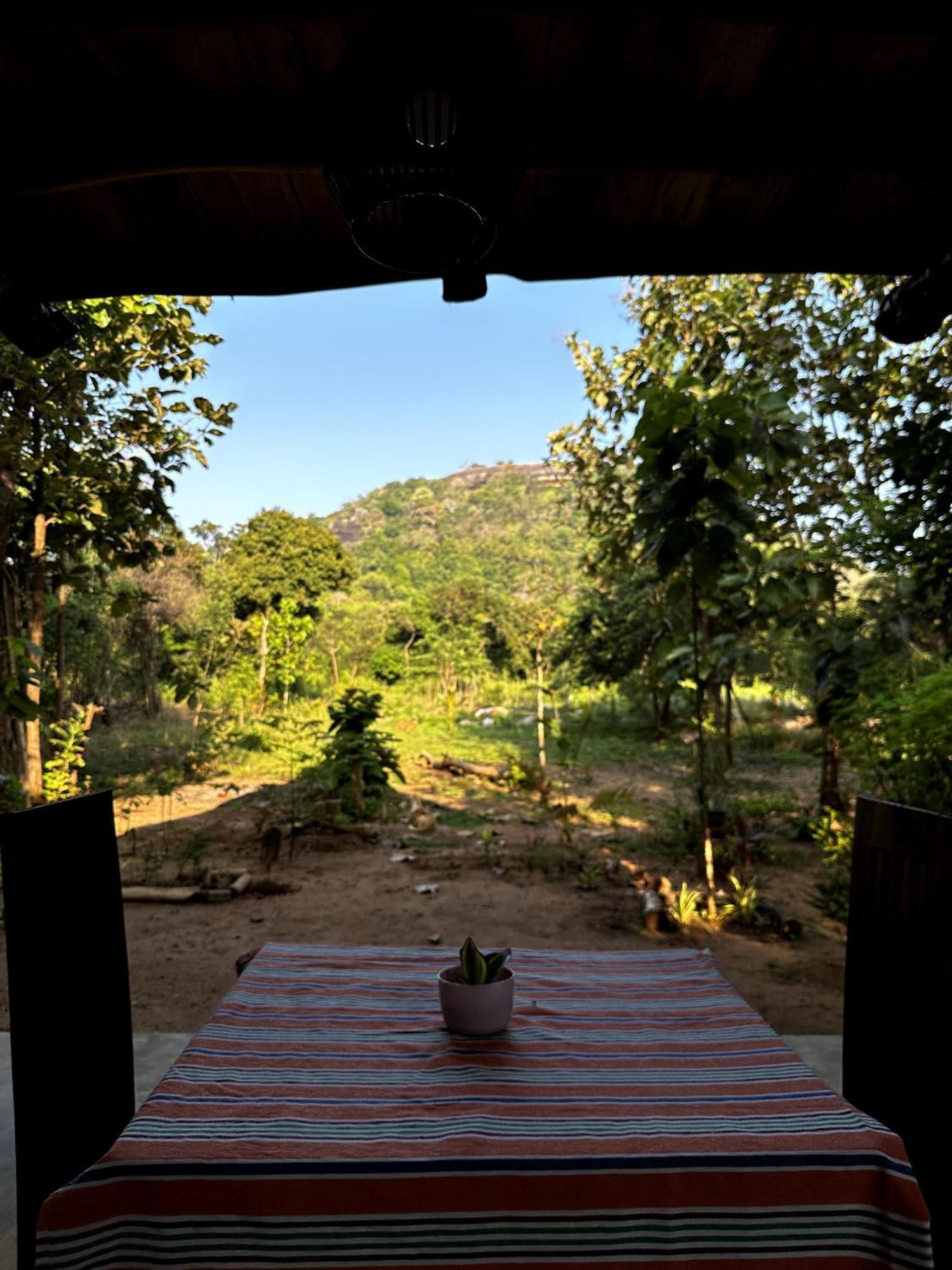 시기리야 Pidurangala View Treehouse 아파트 외부 사진