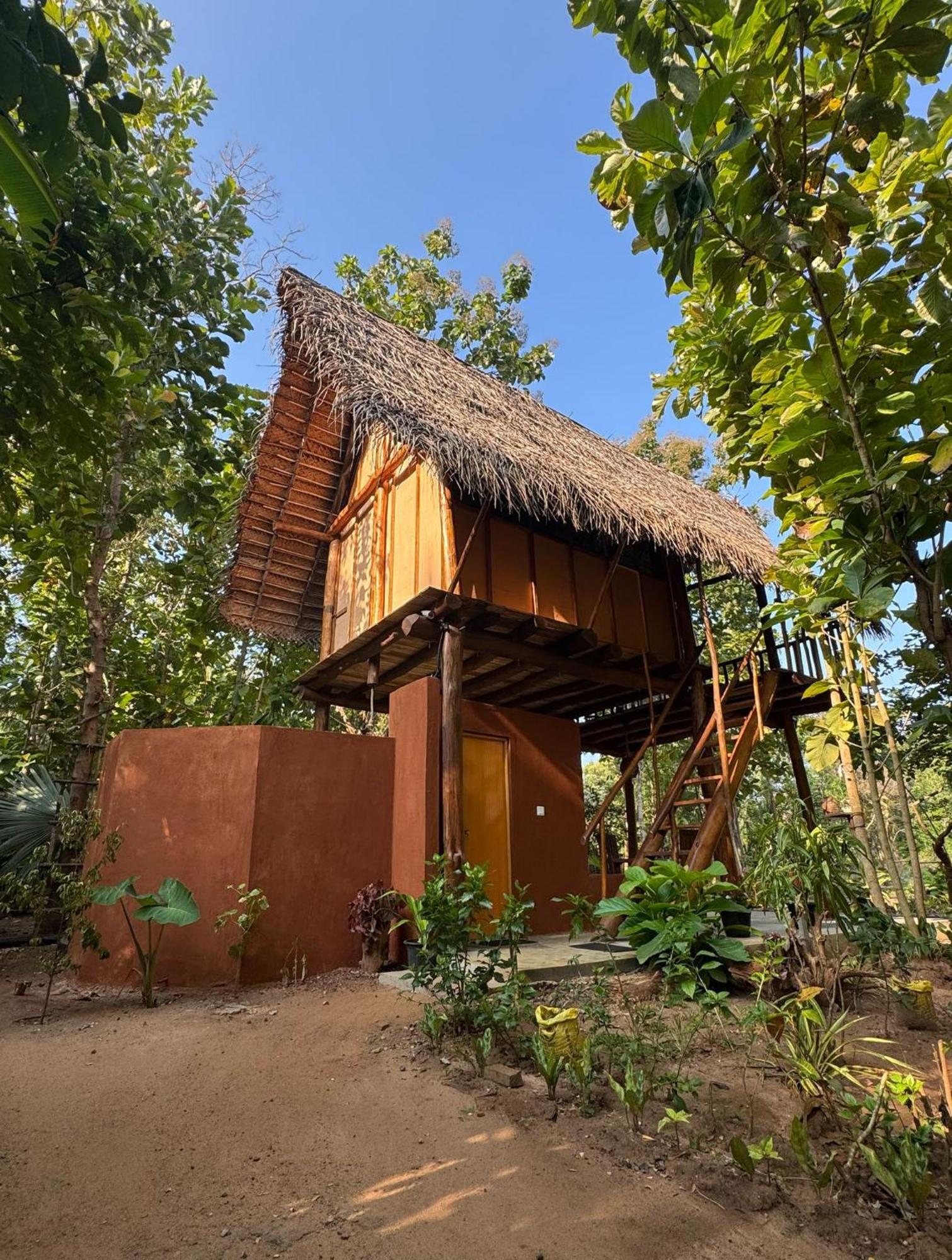 시기리야 Pidurangala View Treehouse 아파트 외부 사진