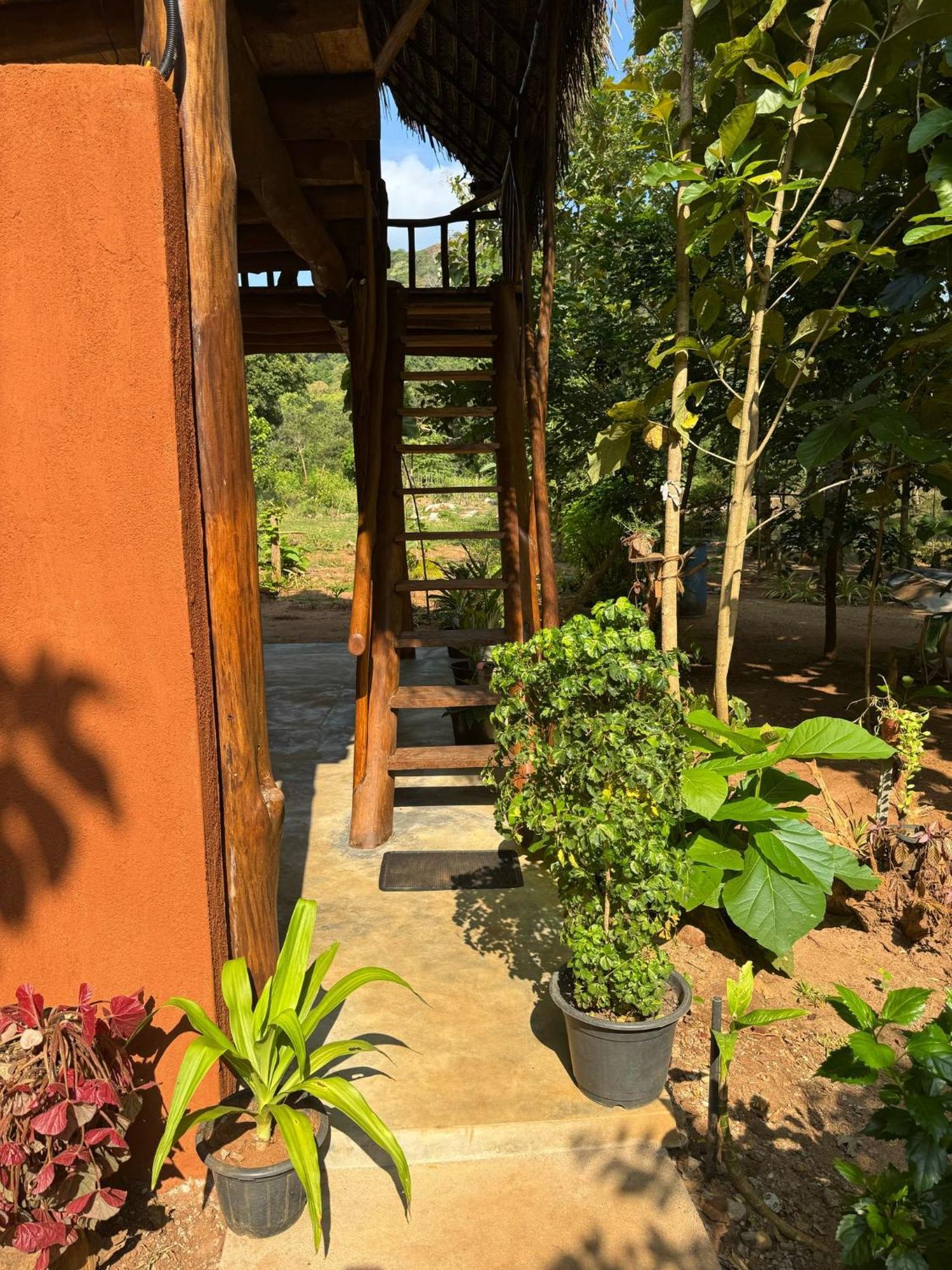 시기리야 Pidurangala View Treehouse 아파트 외부 사진
